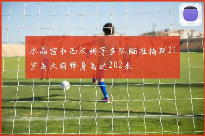 水晶宫和西汉姆等多队瞄准梅斯21岁高大前锋身高达202米